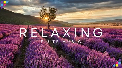 🦚🦚breathtaking Calm Flute Magic Beautiful Flute Music To Stop