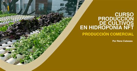 Cursos Hidropon A Rene Cabezas