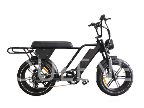 Queene 48V750W Super New Design Full Suspension Electric Fat Tire Bike