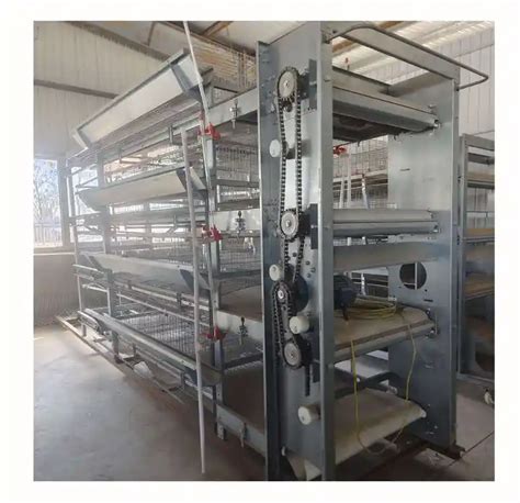 Supply Completely Automatic Laying Hen Egg Layer Battery H Type Chicken