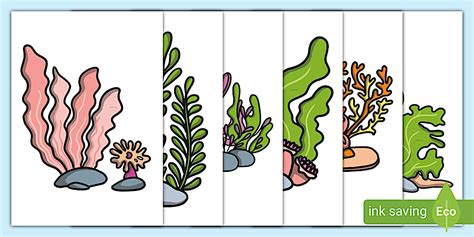 coral reef display cut  twinkl ks teacher