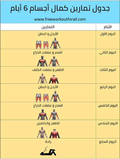 جدول تمارين كمال الاجسام بالصور Pdf