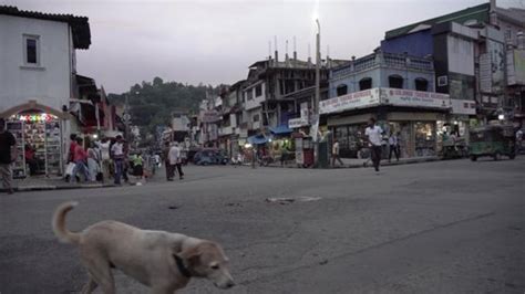 6 Sri Lanka Kandy City Tour Stock Video Footage - 4K and HD Video Clips ...