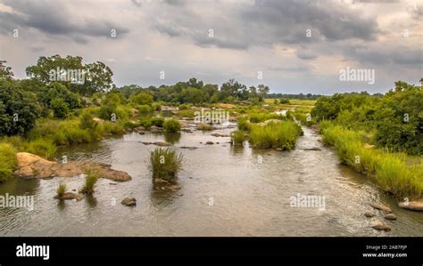 Panorama Of Sabie River Crossing Near Skukuza Camp In Kruger National