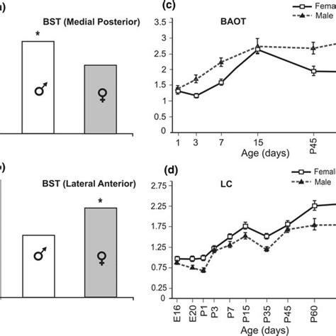 Main Morphological Characteristics Of Sex Differences In The Brain And Download Scientific