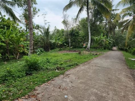 Tanah View Laut Kawasan Medewi Surfing Akses Jalan Meter Beton