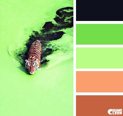 CHAMELEON. Color Palette. | Farbpalette, Farbkarten, Farben