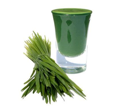 Ease A Hangover With Wheatgrass Wheat Grass Green Juice Benefits