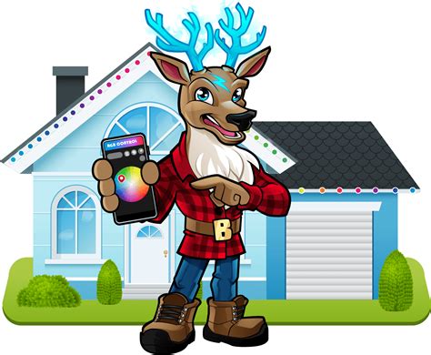 Permanent Christmas Light Installation Services Blitzen Lighting