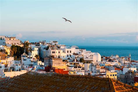 The Ultimate Guide To Tangier Mark Fedoronko