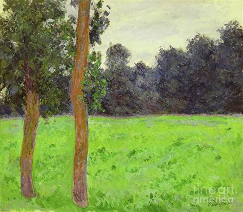 Two Trees In A Meadow Giverny Painting By Claude Monet Fine