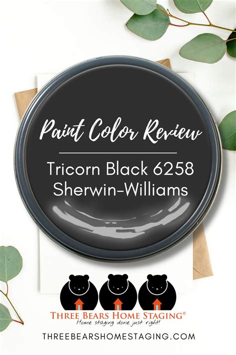 Paint Color Review Sherwin Williams Tricorn Black