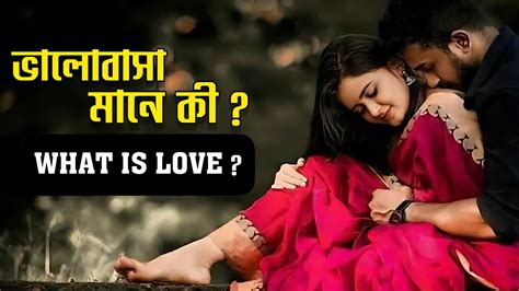 ভালোবাসা মানে কি What Is Love ️ Definition Of Love Love Analysis