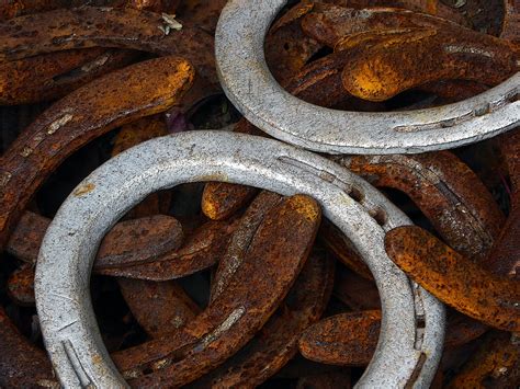 Rusty Horseshoes Free Stock Photo Public Domain Pictures