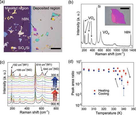 A Optical Image Of Hbn Flakes Exfoliated Onto A Sio Si Substrate