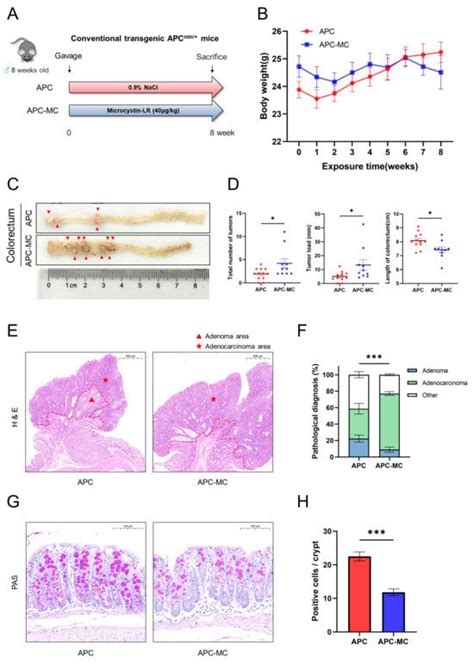 Toxins Free Full Text Exposure To Microcystin LR Promotes