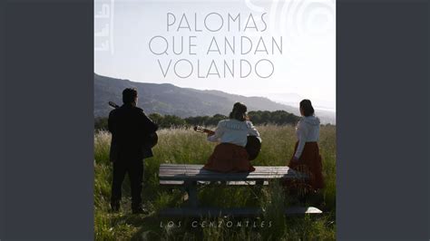 Palomas Que Andan Volando Youtube Music