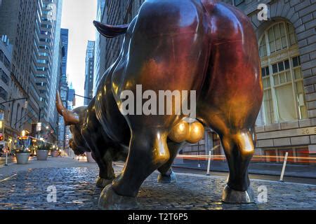 balls of the charging bull statue bowling green wall street New York City USA Stock Photo - Alamy