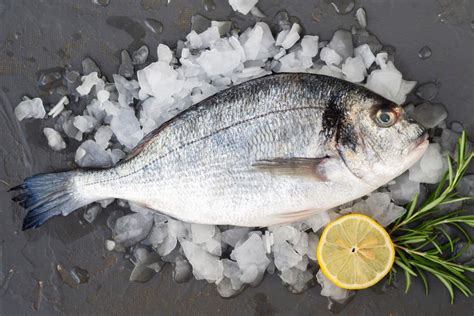 How To Identify Fresh Fish Infographics