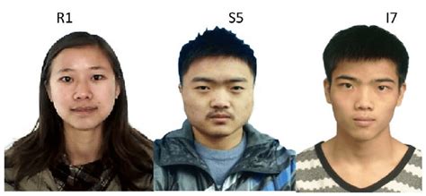 typical face examples  scientific diagram