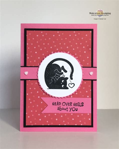 Valentine Love Cards Cat Valentine Happy Valentines Day Cat Cards