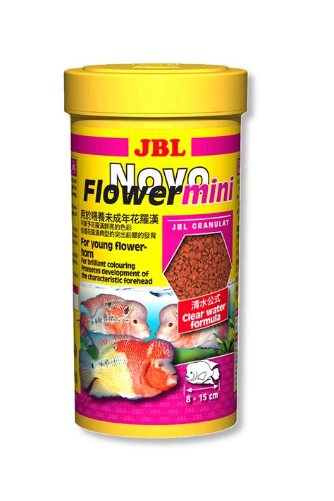 Fish Bazaar Pasir Ris Jbl Novoflower Mini