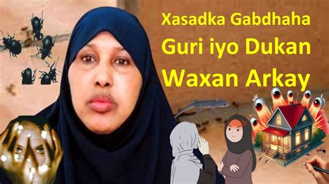 Xasad Wax Kaxun Majiro Guri Iyo Dukaan Meel Kasta Waa Galay Qiso Kala