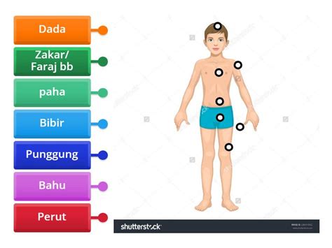 Anggota Badan Yang Tidak Boleh Disentuh Labelled Diagram