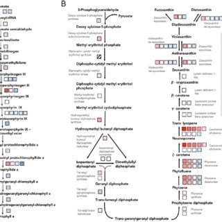 Heat Map Of Transcript Expression Of Wild Type P Tricornutum In Ll As