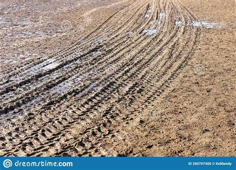 Tire tracks in the mud stock photo. Image of rain, pattern - 260707400