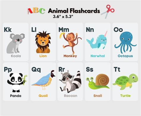 Animal Alphabet Flash Cards Abc Animal Flash Cards Alphabet Cards