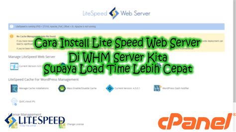 Cara Install Litespeed Web Server Di Whm Cpanel Youtube