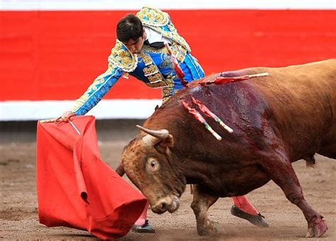 Perera Para Sustituir A Morante En Bilbao DE SOL Y SOMBRA