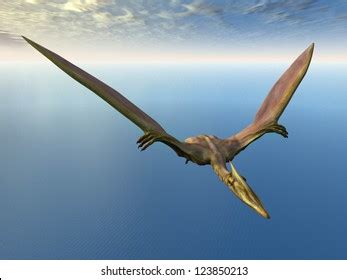 Flying Dinosaur Quetzalcoatlus Computer Generated 3d Stock Illustration ...