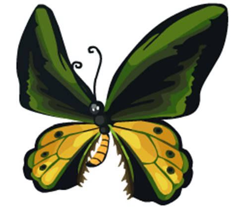 Goliath Birdwing - Here Be Monsters Wiki