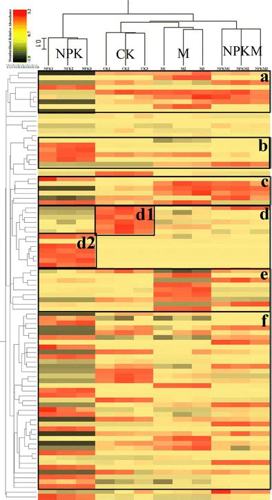 Heatmap Displaying The Standardized Relative Abundance Normalized By Download Scientific