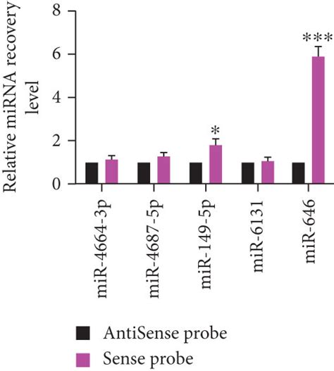 Circhbegf Interacts With Mir A Rt Pcr Analysis Of Mir P