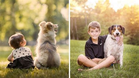 Top mejores perros grandes para convivir con niños en la casa Petlife