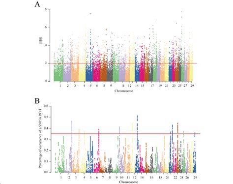 A Genome Wide Distribution Of Selection Signatures Detected By Ihs The