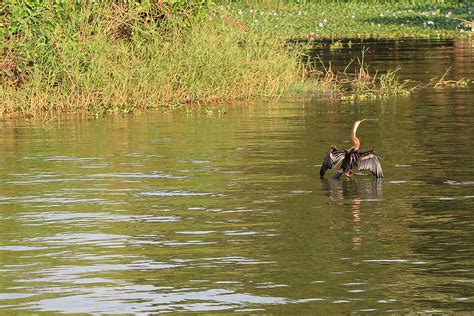 Backwaters of Kerala: Best on a Houseboat | TravelGeekery