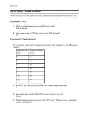 Lab Biology Pcr Worksheet Pdf Bsc Lab Biology Pcr Lab