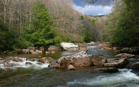 Free Images Landscape Nature Forest Waterfall Creek Wilderness