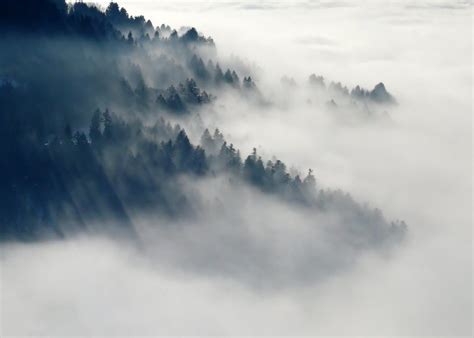 Mountain Fog Pictures, Photos, and Images for Facebook, Tumblr, Pinterest, and Twitter