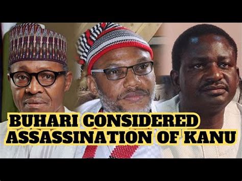 Why Buhari Did Not Eliminate Nnamdi Kanu From His Hideout Femi