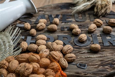 Email Gourmand Actualité Gastronomique du Sud de la France SALON