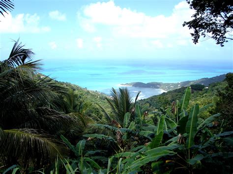 Tortola Island Adventure Tour: Book Tours & Activities at Peek.com