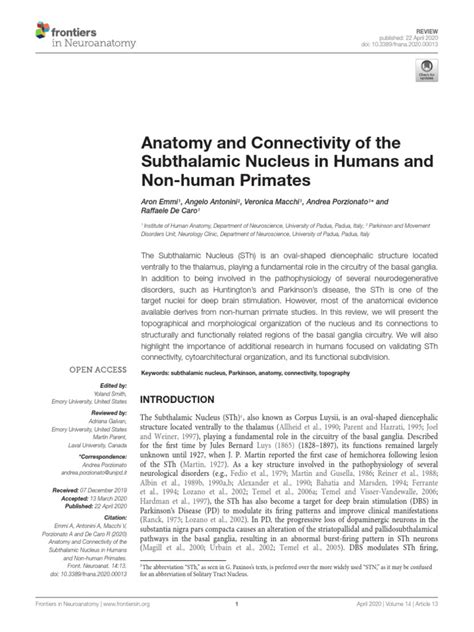 Anatomy and Connectivity of The Subthalamic Nucleu | PDF | Basal ...