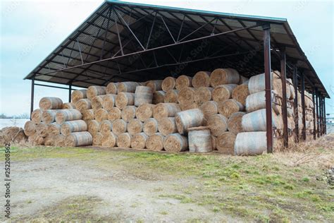 Huge Barn For Storing Hay Large Bales Of Hay Are Stored Under A Large