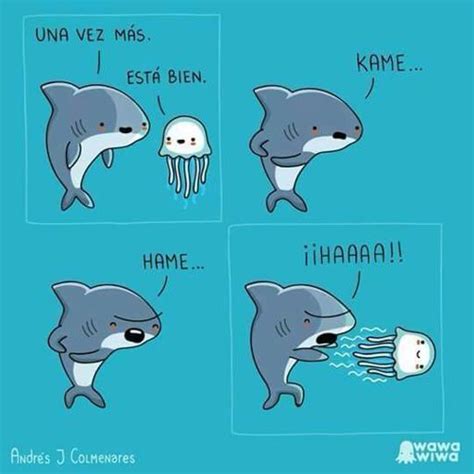 Kame Hame Haaa Anime Amino