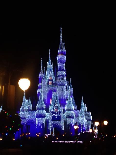 Disney Cinderella castle at night